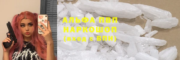 ешки Арсеньев