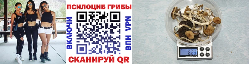 МЕГА зеркало  Бабаево  Галлюциногенные грибы Psilocybe  мориарти официальный сайт  закладки 