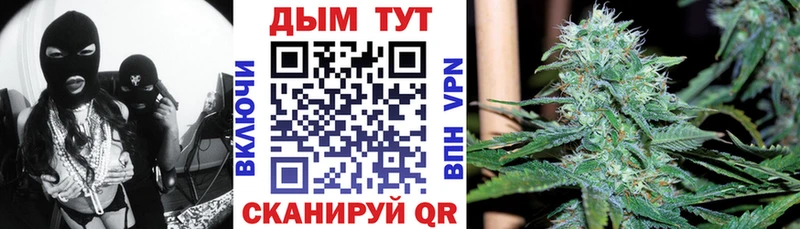 блэк спрут зеркало  где купить наркоту  Бабаево  Шишки марихуана VHQ 